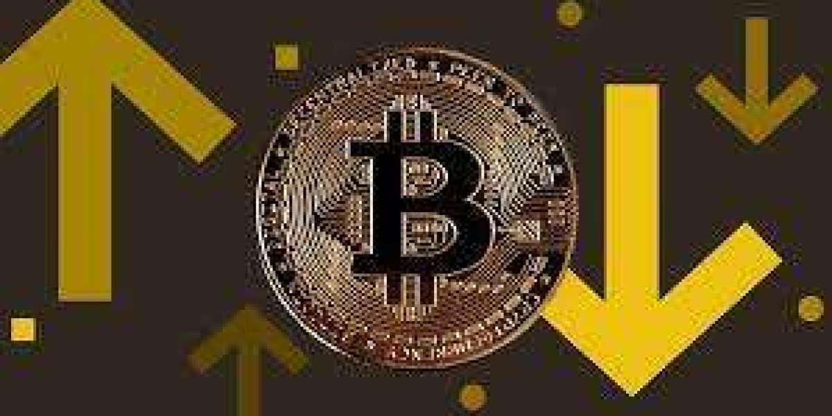 Why Some Economists Oppose Bitcoin