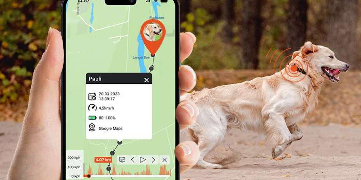 Unlocking Freedom: How a GPS Dog Tracker Keeps Your Pet Safe