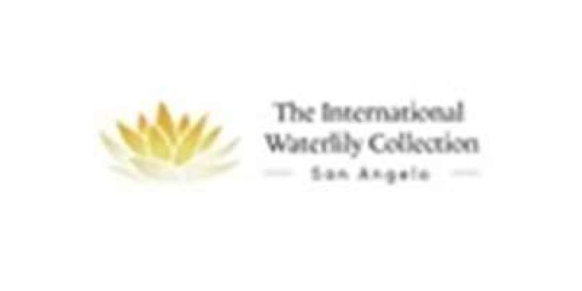 Discover the Beauty of the International Waterlily Collection Today