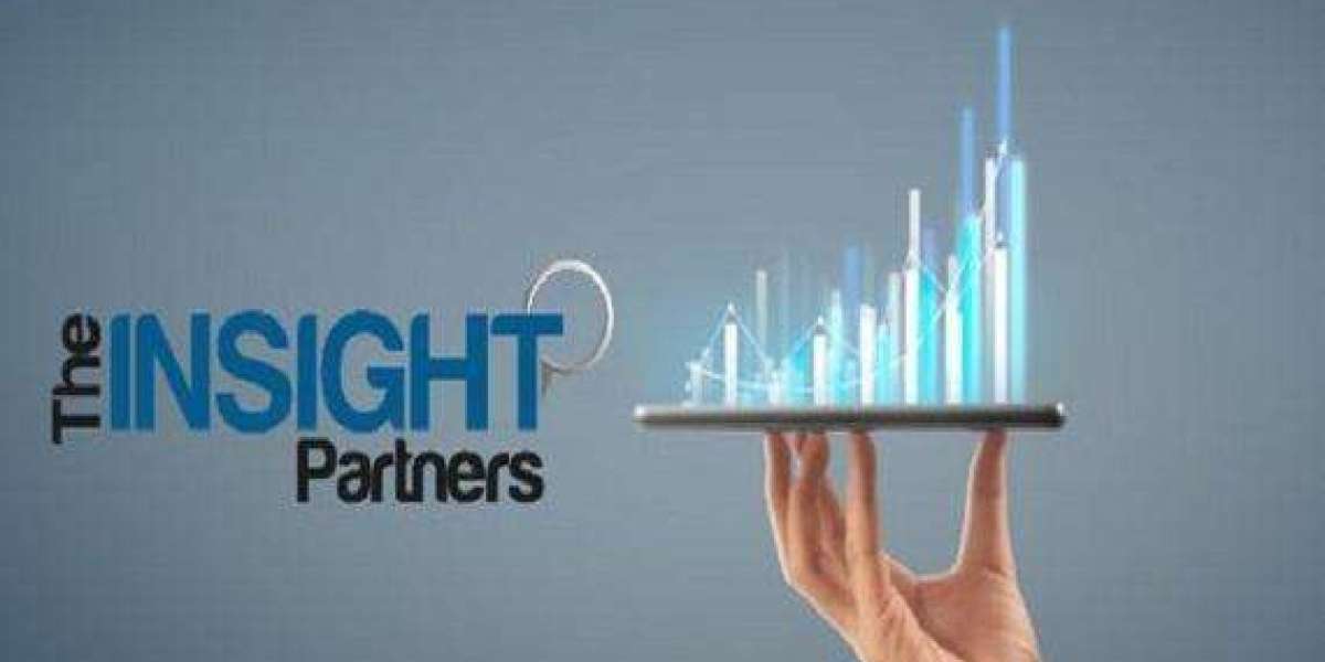 Contouring Products Market Trends & Forecast 2025–2031