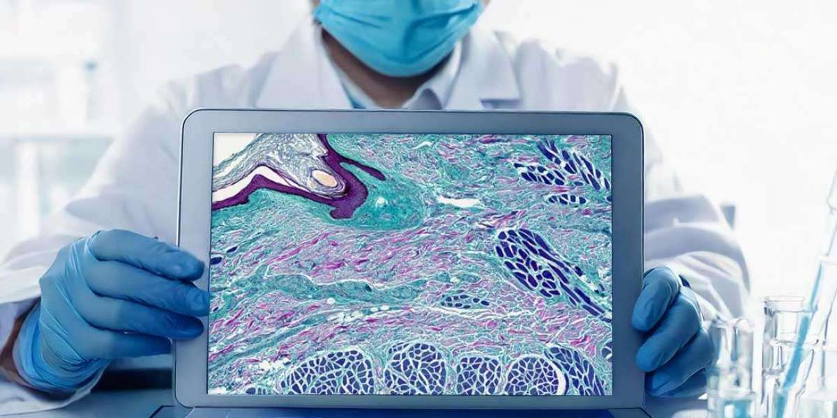 Digital Pathology Market Size, Share & Competitive Analysis Report 2025–2033