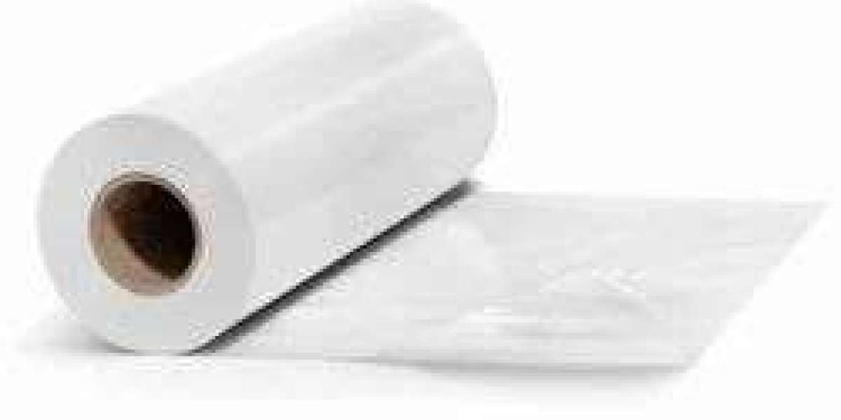 Biodegradable Films Manufacturing Plant Setup Report 2025 - Machinery Cost, and Business Plan