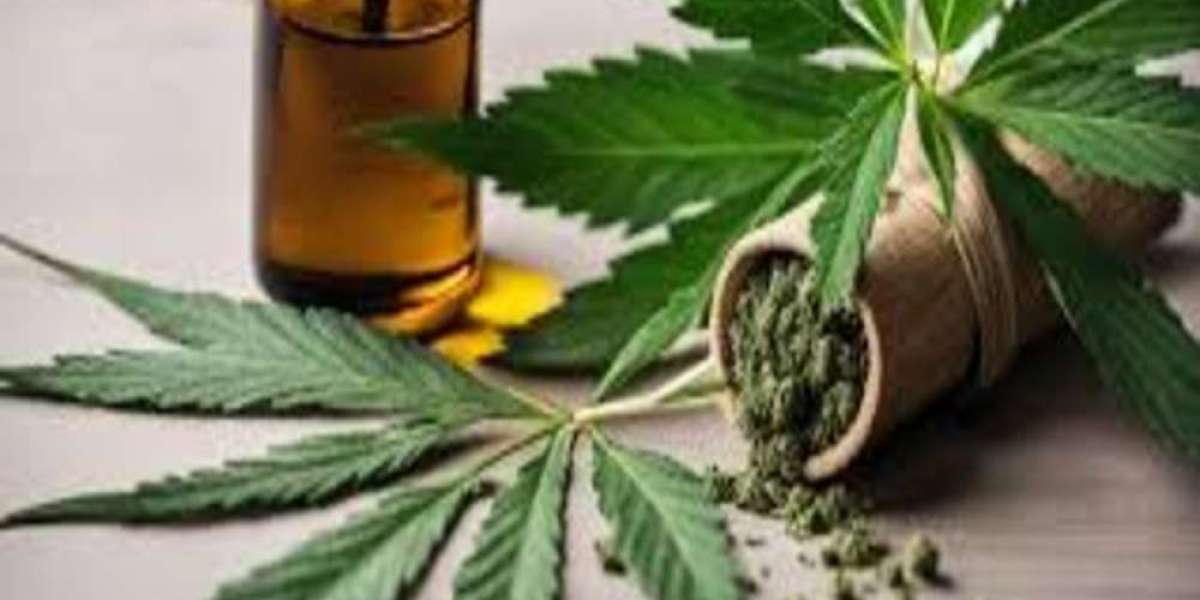 CBD Royan : pourquoi adopter le cannabidiol pour un mieux-être naturel ?