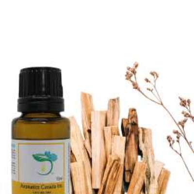 Palo Santo Essential Oil Profile Picture