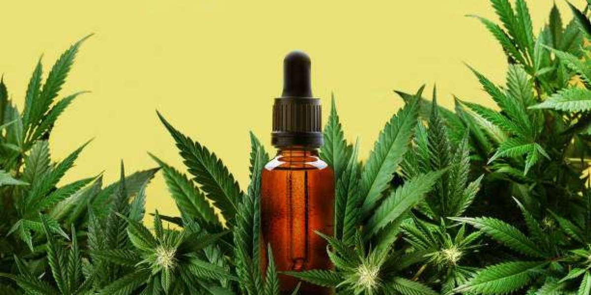 CBD Bayonne : Un allié bien-être au cœur du Pays Basque