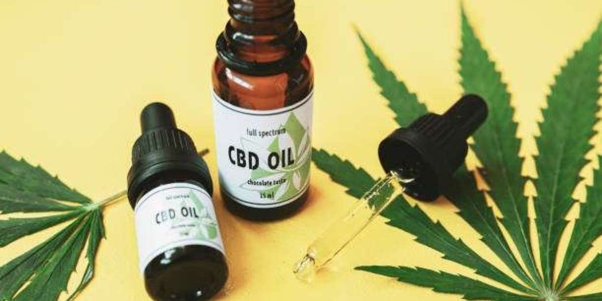 CBD Villeneuve-sur-Lot : Pourquoi choisir le cannabidiol pour votre bien-être local ?