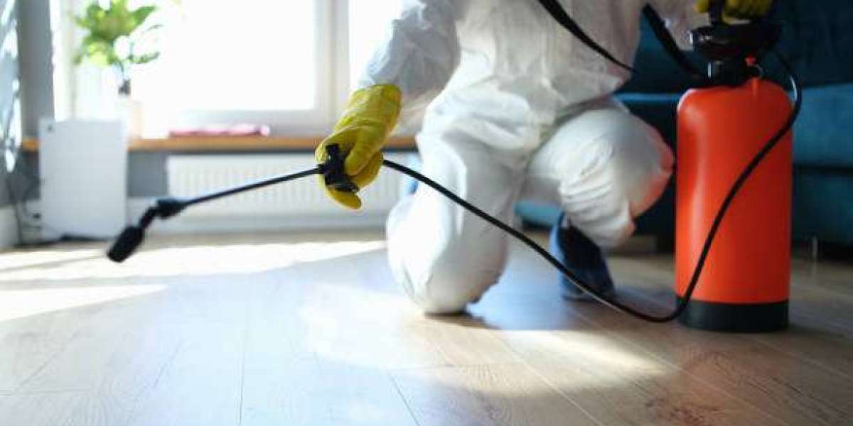 What Are the Top Signs You Need a Mosquito Misting System at Home?