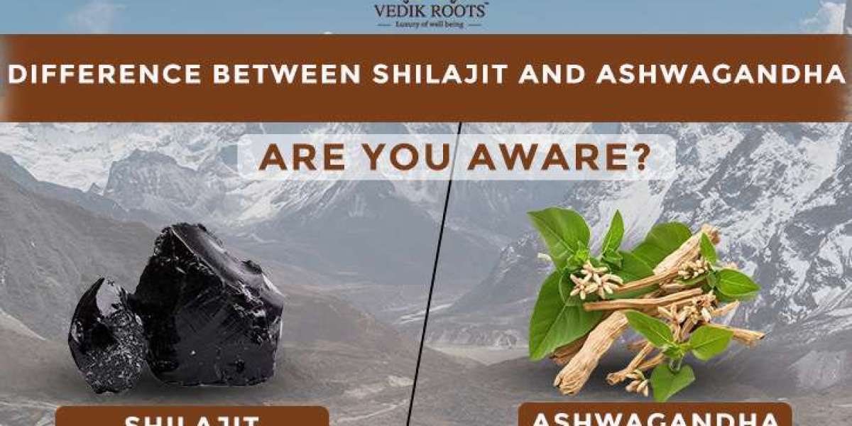 Difference Between Shilajit and Ashwagandha: Are You Aware?