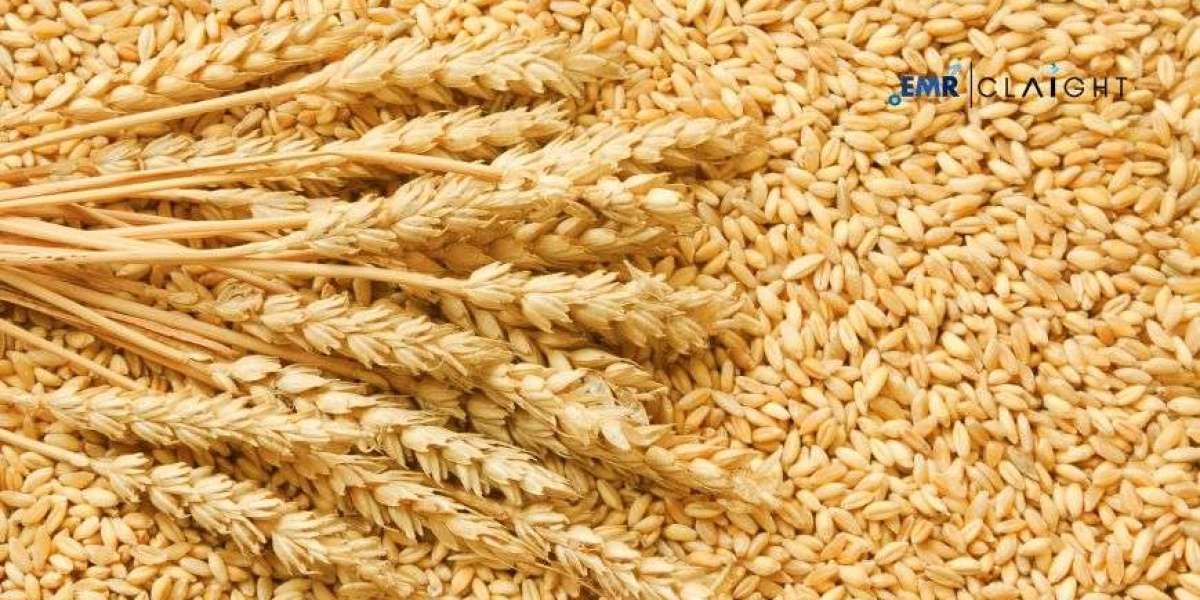 North America Wheat Seed Treatment Market Report and Forecast 2025-2034