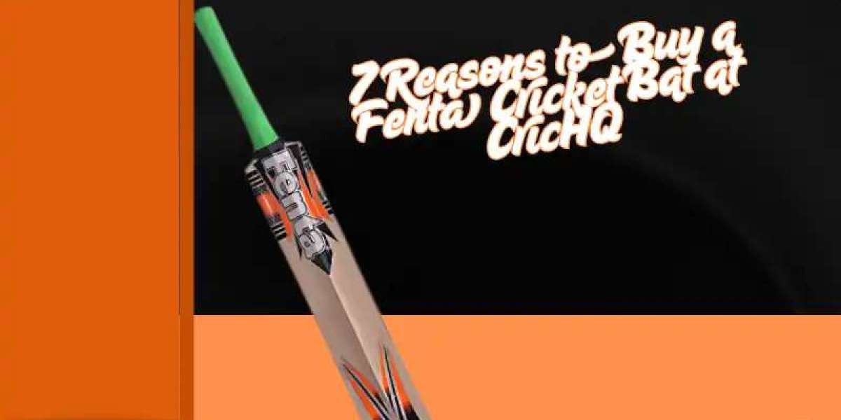 7 Reasons to Buy a Fenta Cricket Bat at CricHQ