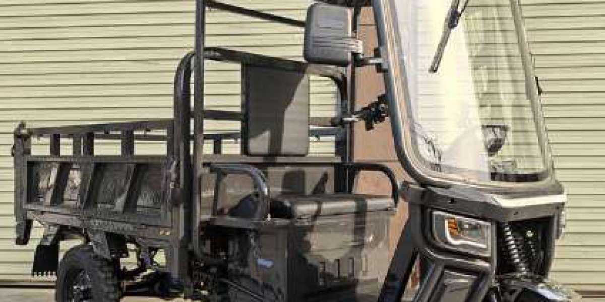 Safe Zhongli Electric Passenger Tricycle with Advanced Brakes