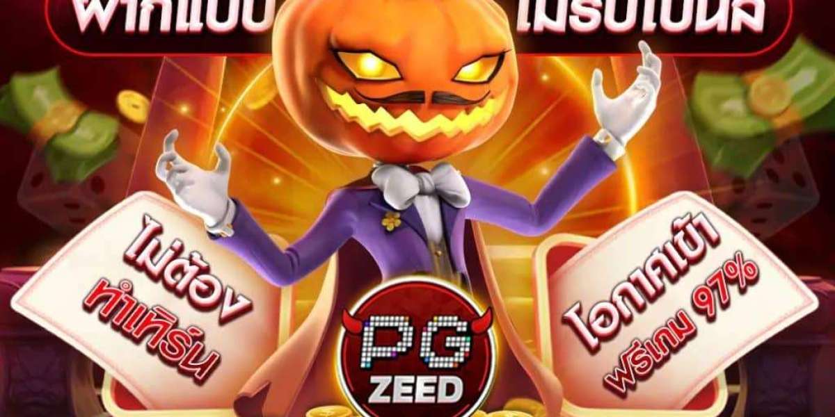 How pgzeed Sets Itself Apart in the Online Casino Market