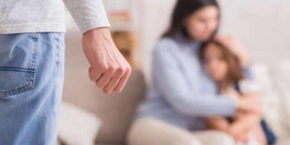 The Role of Domestic Violence Lawyers QLD in Family Court Proceedings