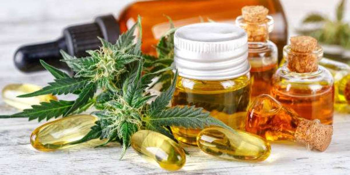 CBD La Teste-de-Buch : découvrez le bien-être naturel au cœur du Bassin
