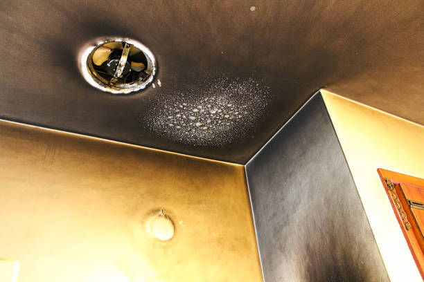 How to Clean Smoke Damage | Utah Fire Restoration Experts