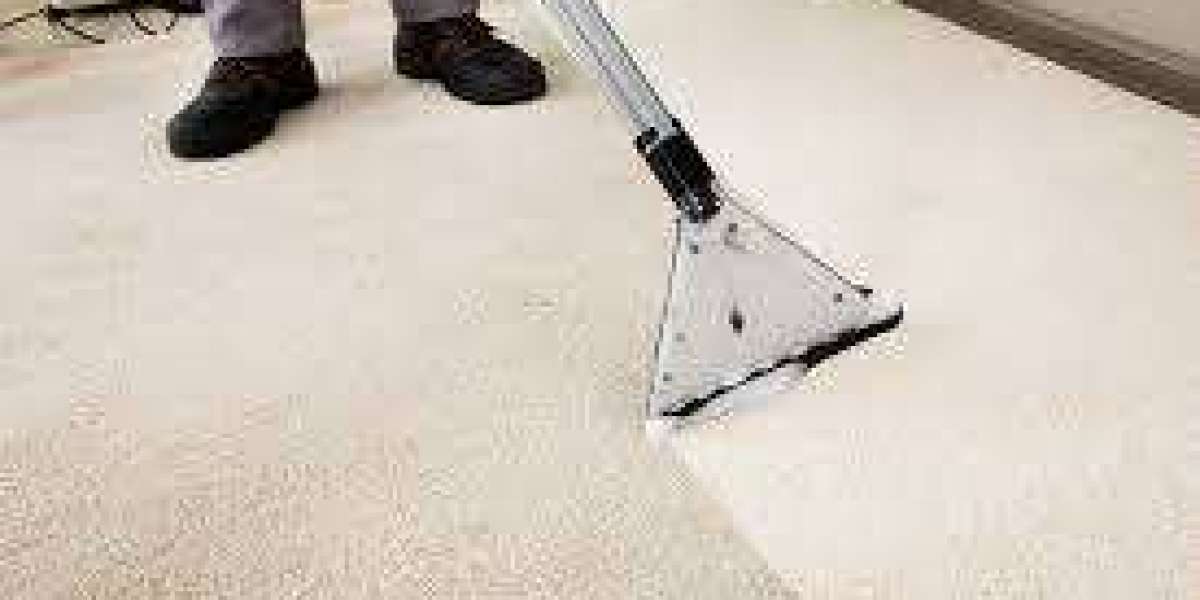 Why Regular Carpet Cleaning Is a Must for Home Wellness