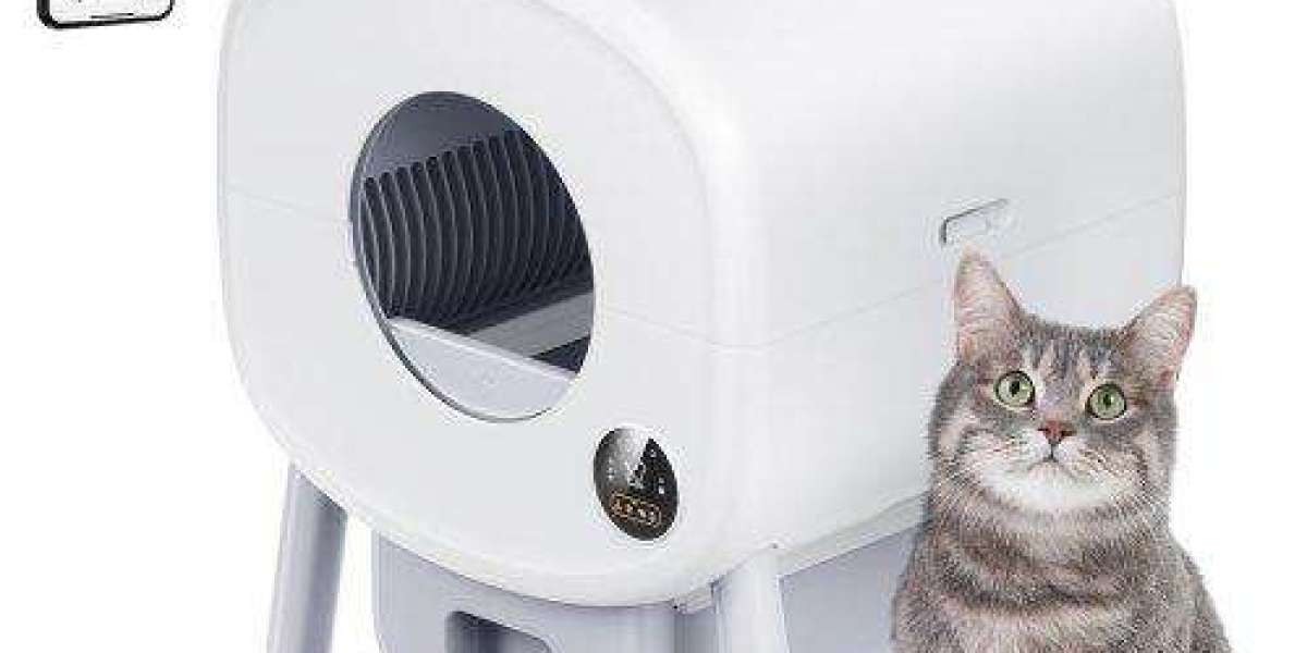Pawtechpet's Self-Cleaning Litter Box: Freshness Guaranteed