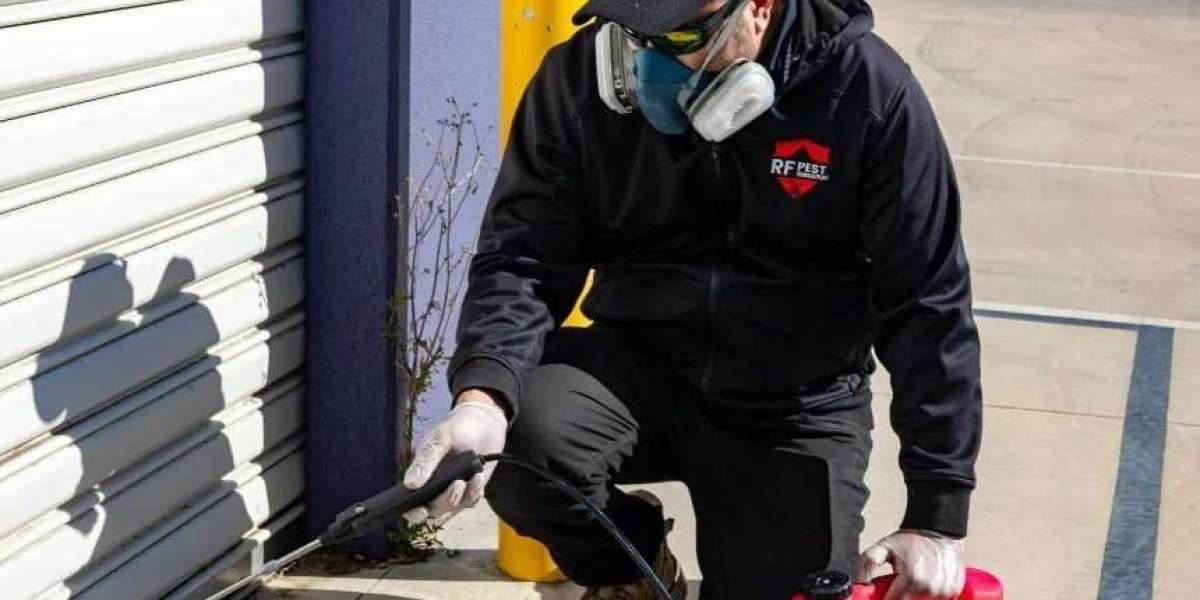 What Makes Pest Control a Vital Part of Commercial Safety?