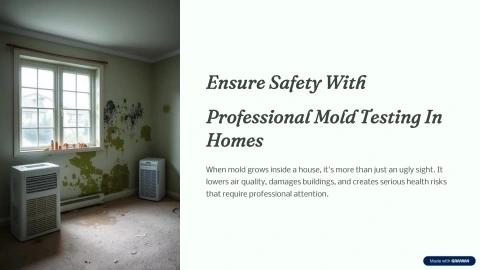 Ensure Safety With Professional Mold Testing In Homes