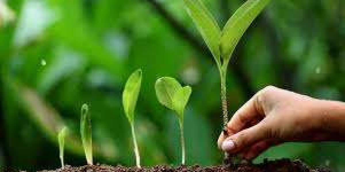 Plant Growth Regulators Market Overview Of Regulatory Policies And Government Initiatives Worldwide
