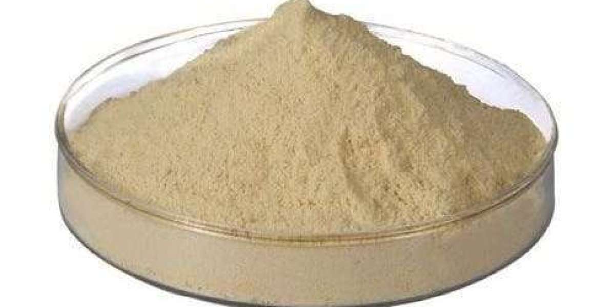 Fish Protein Isolate Market Scenario Driven by Functional Nutrition and Eco-Friendly Sourcing Practices