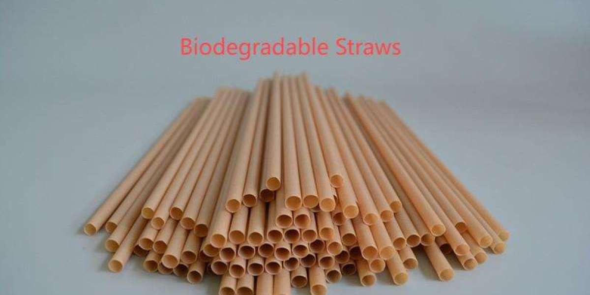 Soton Straws Eco-Friendly Straws Manufactory Supporting Green Lifestyle