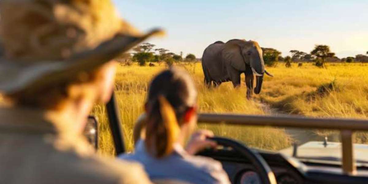 Discover Ideal Ages for Children to Enjoy Incredible Family Safaris in Africa