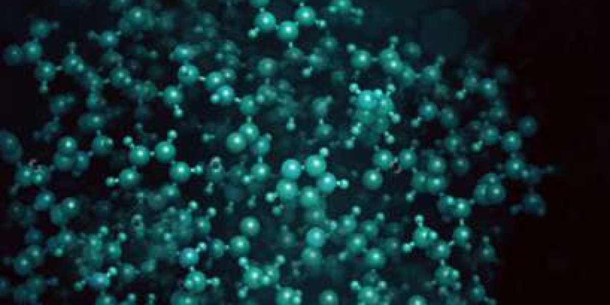 Precision Meets Power: The Evolution of Immune Checkpoint Antibodies in Oncology