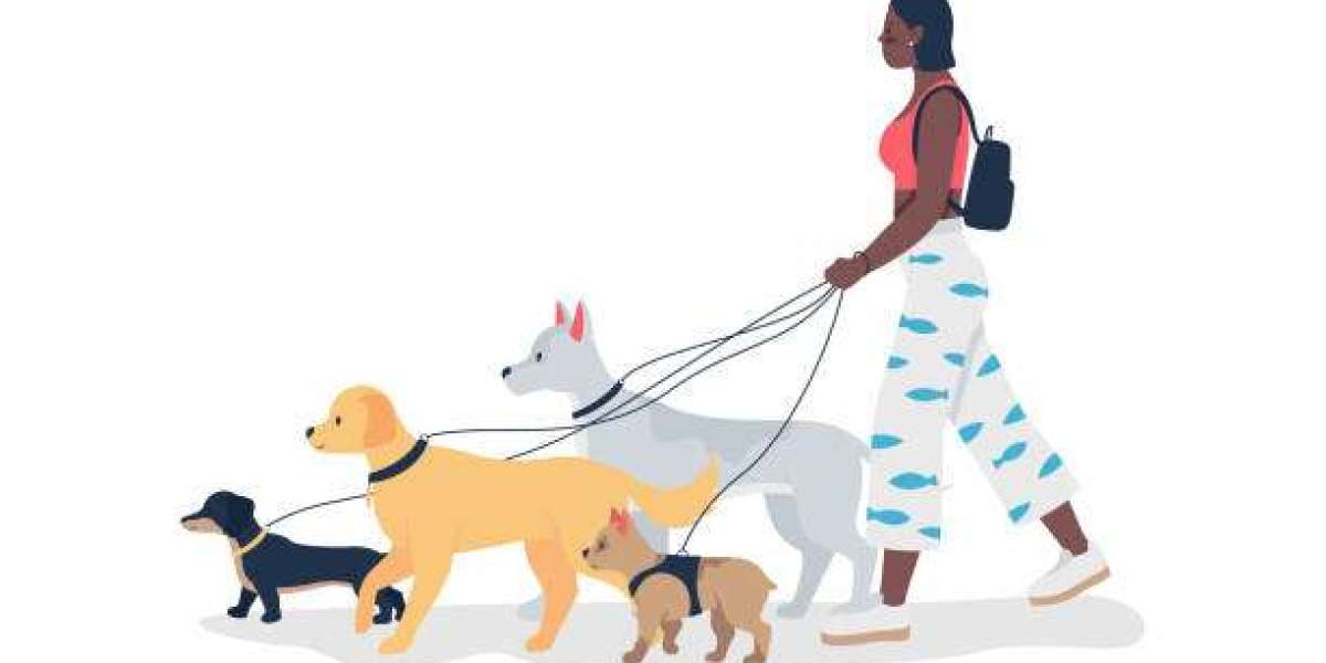 Trusted Pet Sitters in Melbourne: Caring for Your Furry Friends.