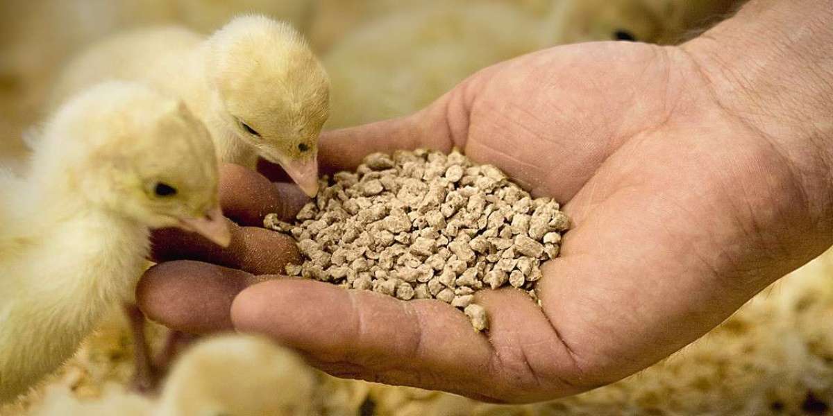 Animal nutrition market dynamics shaped by sustainability, regulations, and technological advancements