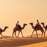 Cheapest Desert Safari in Dubai