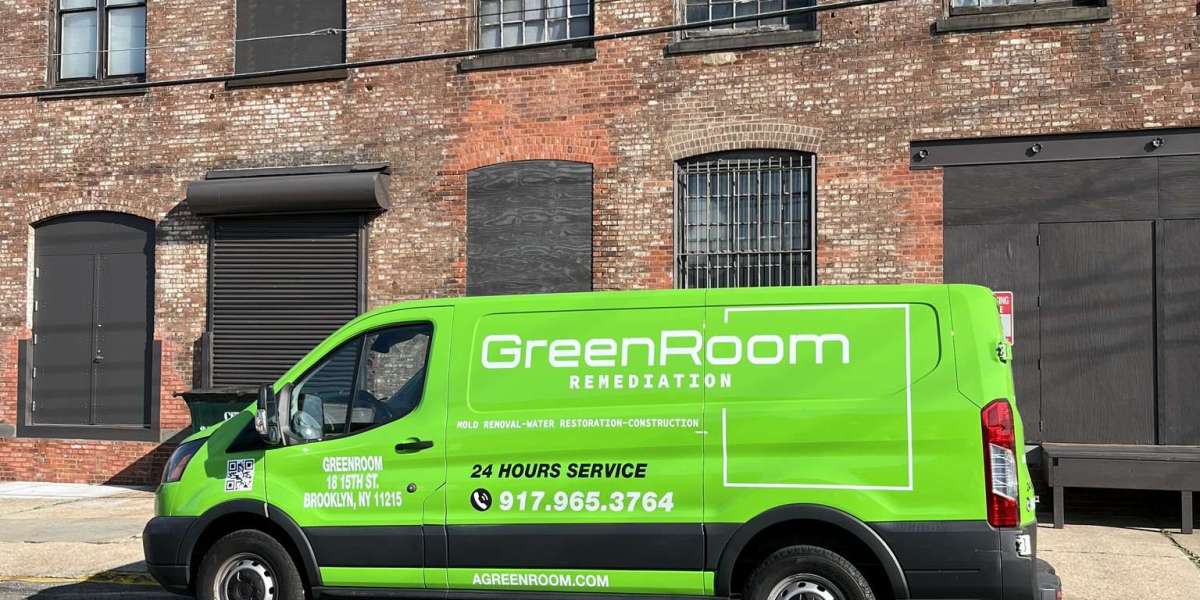 Emergency Mold Removal New York