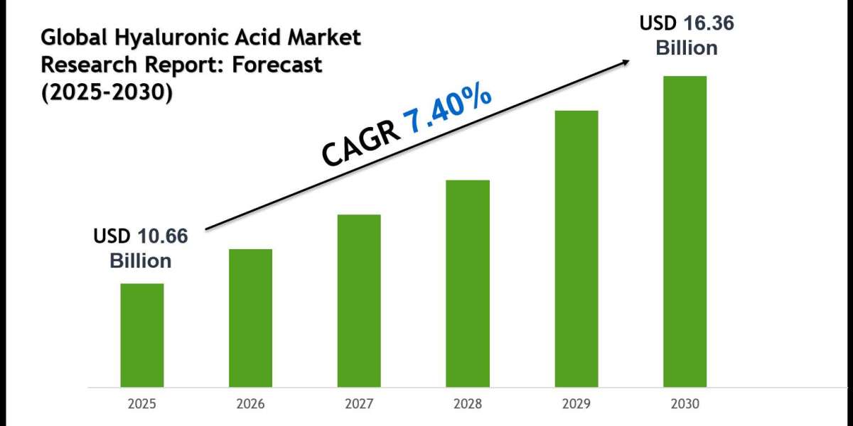 Hyaluronic Acid Market 2030: Size, Growth Drivers & Competitive Landscape