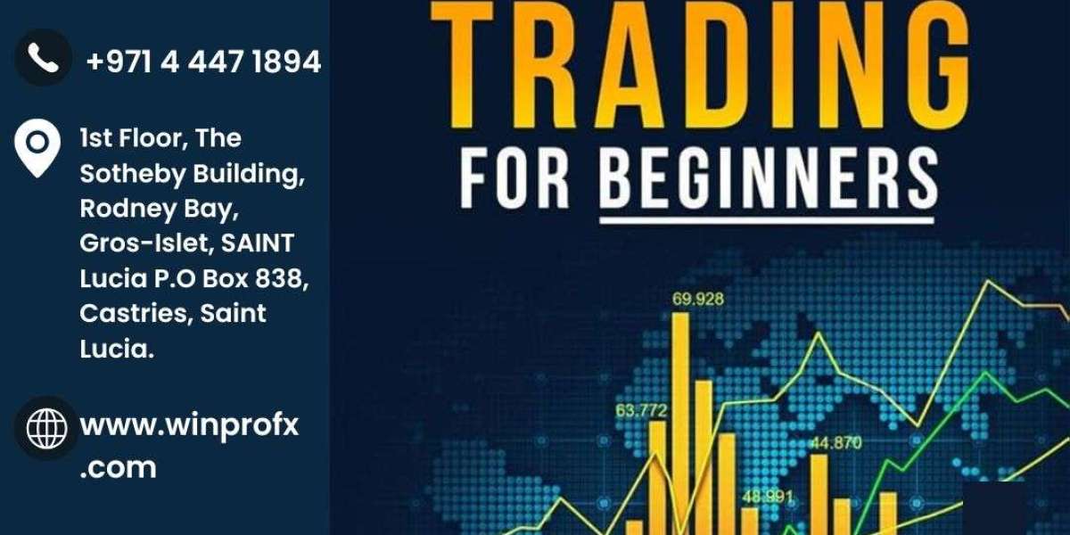 Forex Trading for Beginners: A Practical Starting Guide