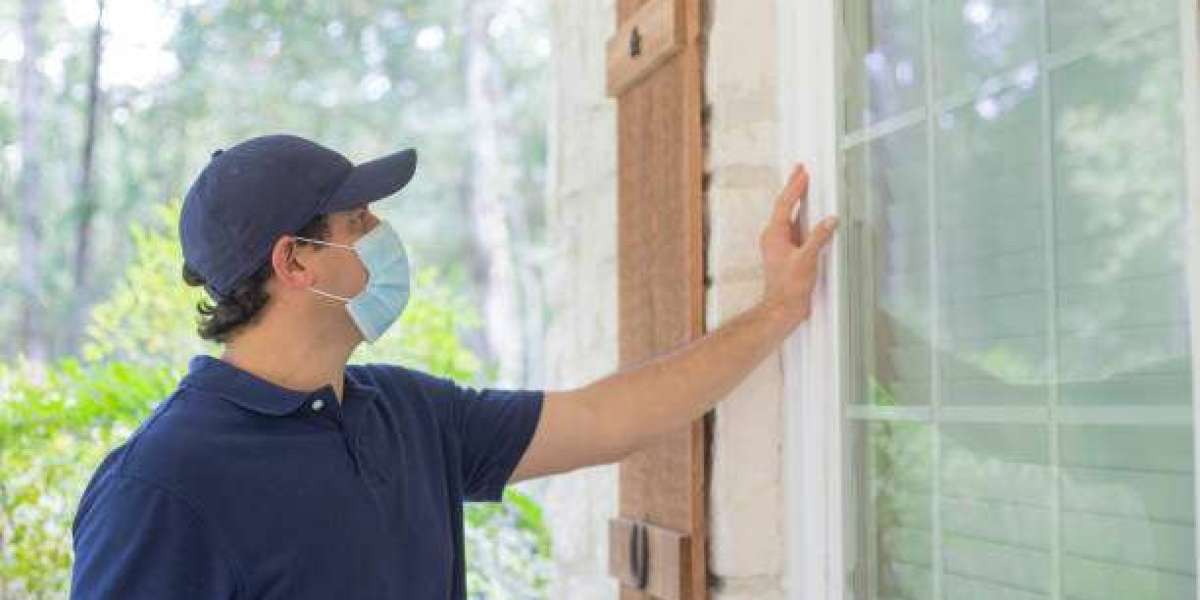 Pest Inspections and Home Health: What Every Homeowner Should Know