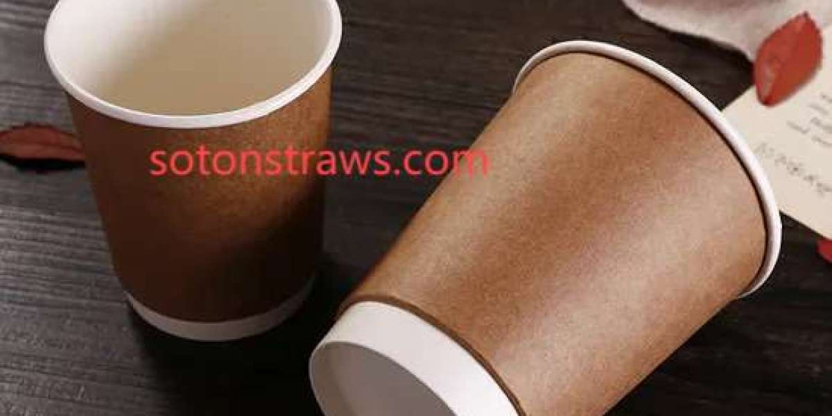 Soton's Disposable Paper Cups: Understanding True Environmental Claims