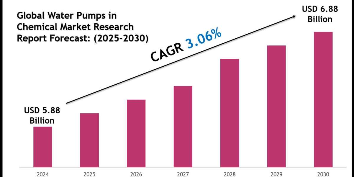 Water Pumps in Chemical Market Forecast 2030: Key Players & Emerging Trends