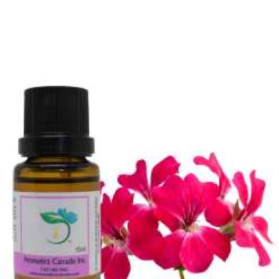 Rose Geranium Essential Oil Profile Picture