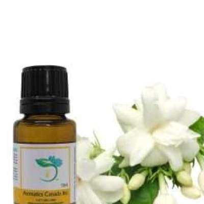 Jasmine Grandiflorum Absolute Oil Profile Picture