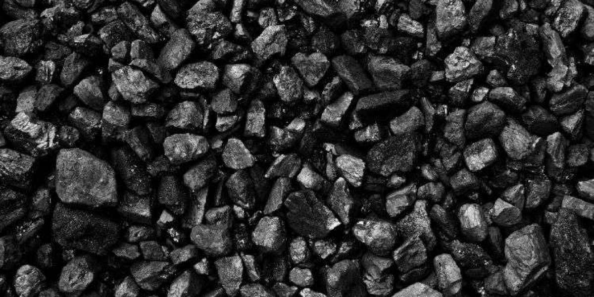 Petroleum Coke Market: Trends, Segments, and Outlook (2025–2034)