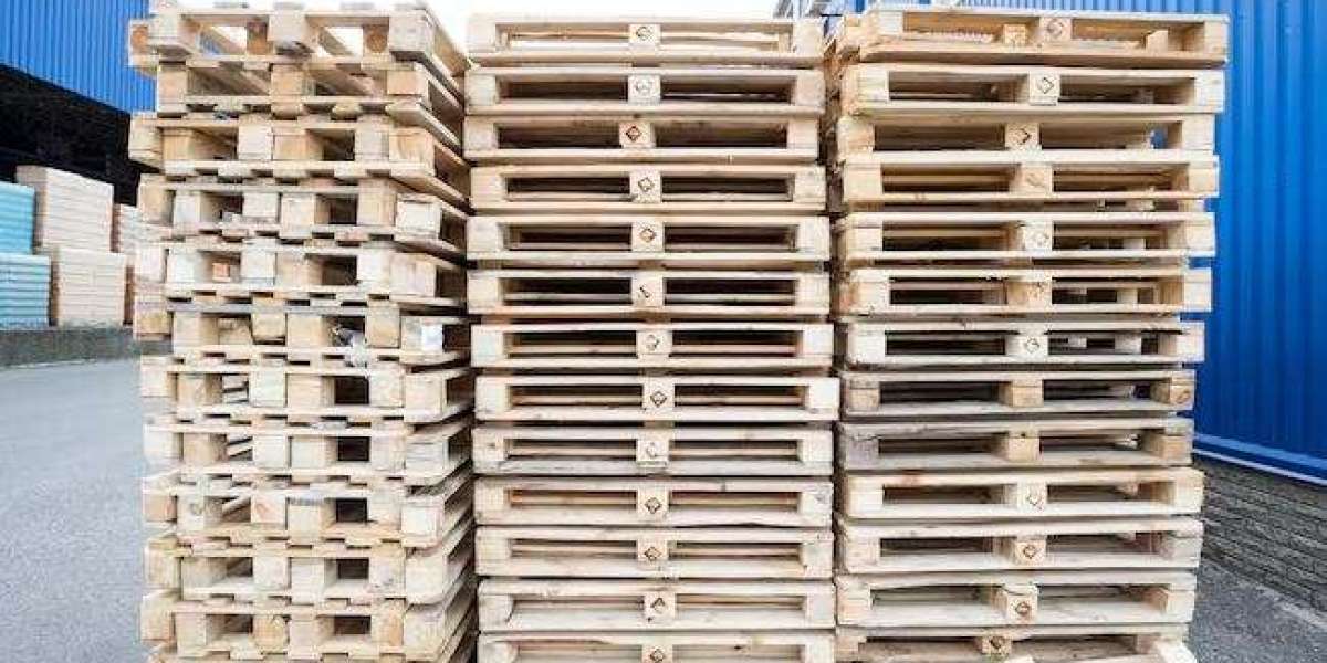 United States Pallet Market Trends Outlook Report with Growth Forecast 2025–2033