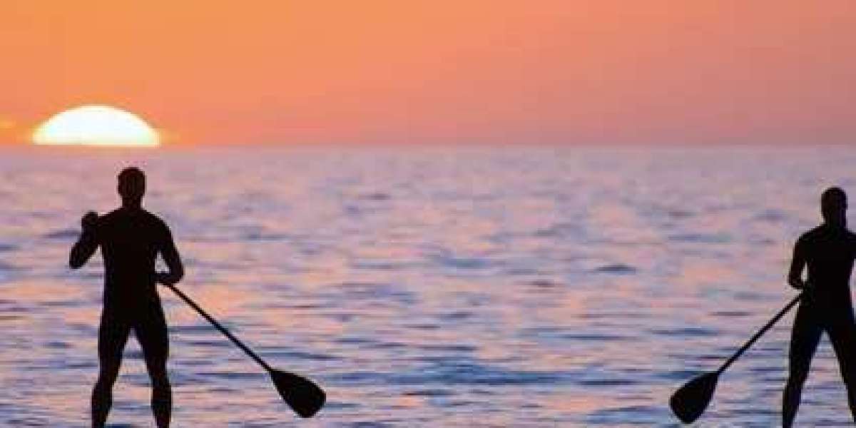 How to Maximize Your Experience with Paddle Board Rentals in Sarasota FL
