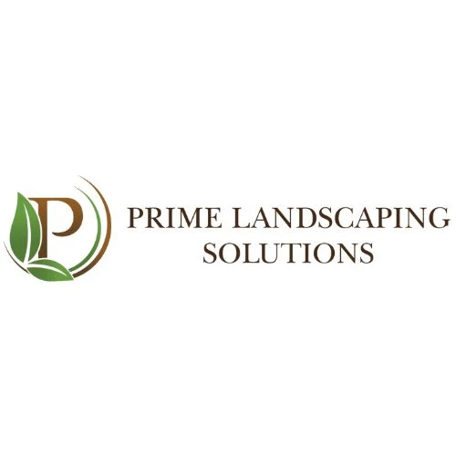 Creating Outdoor Spaces with Landscaping Services Sydney -  WriteUpCafe