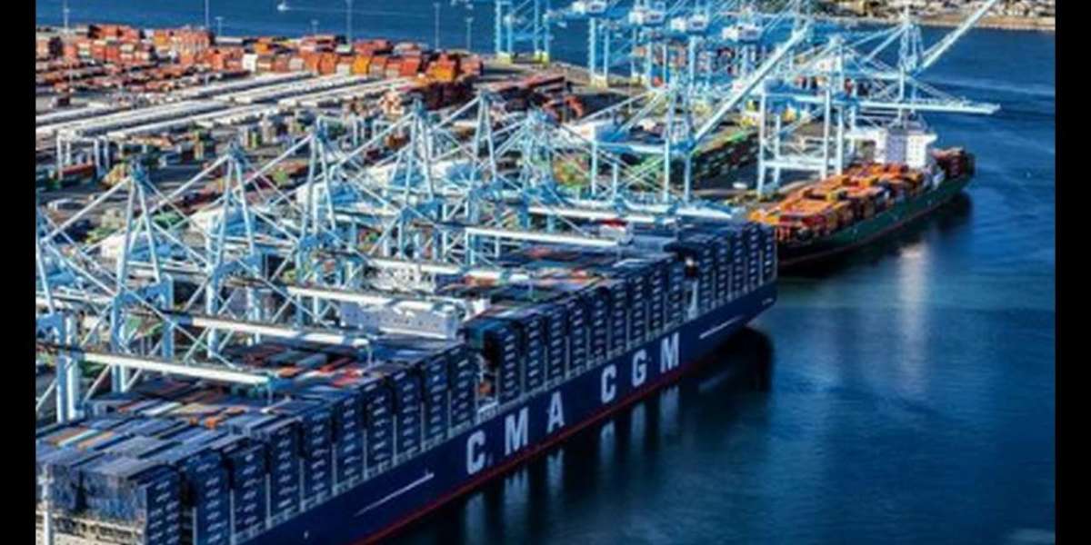 PUR Shippers Market Intelligence Report: Insights, Competitive Landscape, and Future Revenue Projections