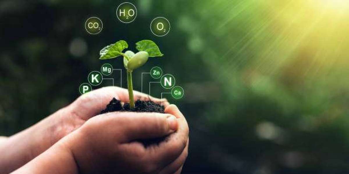 Genetics: Learning About Science at the Blueprint of Life