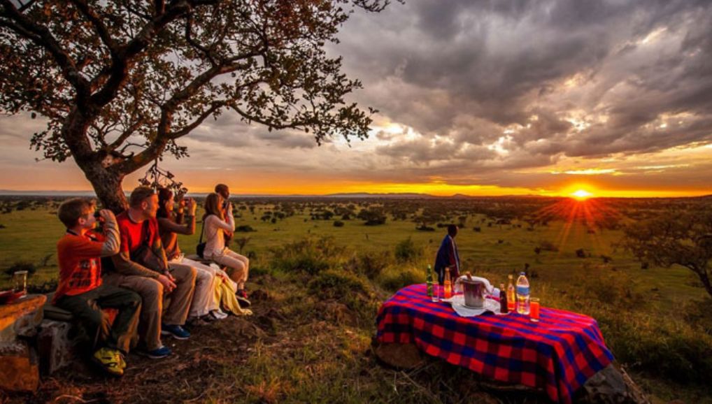 Why Tanzania Luxury Safaris Are Trending Now