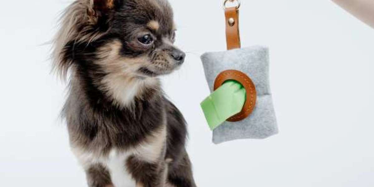 How To Choose The Right Dog Poop Bag Holder For Your Pet