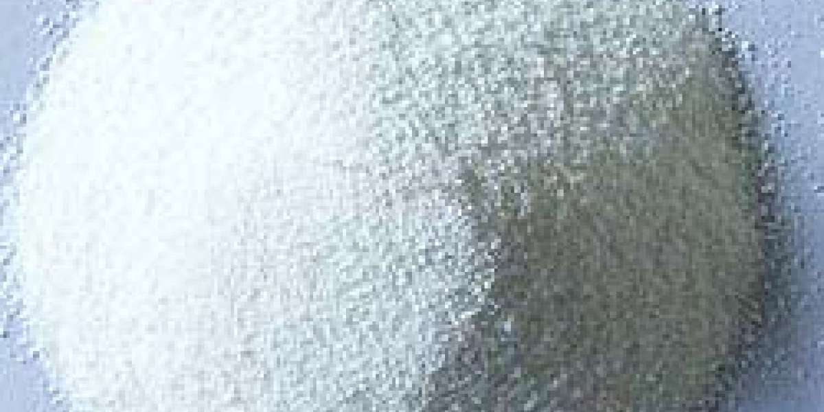Marine Enzymes Market Intelligence: Future Outlook and Pathways for Long-Term Innovation