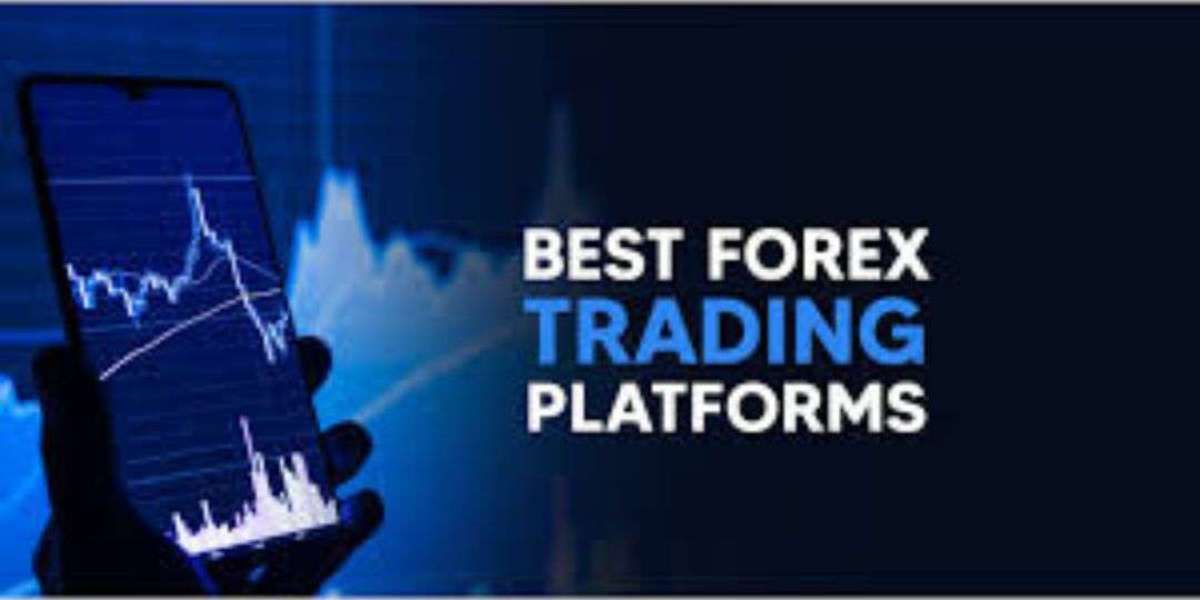 Best Forex Trading Platform with Seamless Access