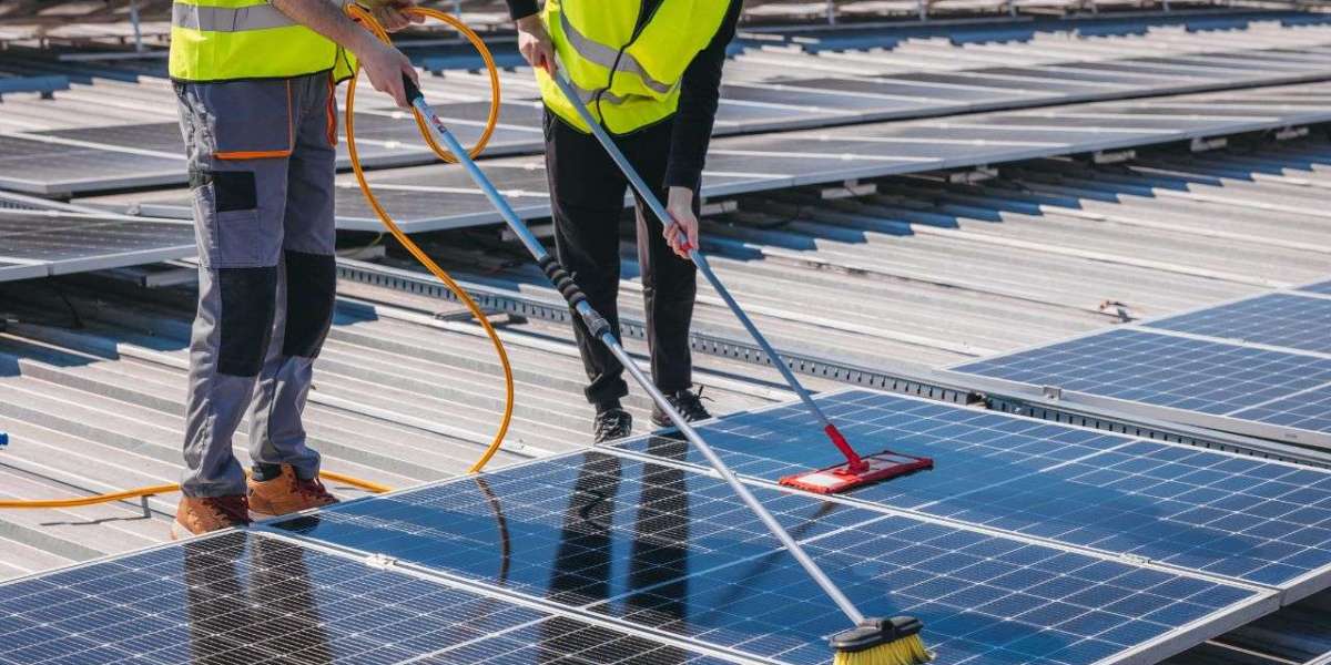 The Rising Importance of the Solar Panel Cleaning Market: Trends, Drivers, and Future Outlook